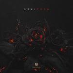 album image Розы Розы - Single