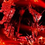 album image Ярость #fuxkuglystephan - EP
