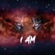 yvn.nights - Vnas - Du xosum es ches lsum