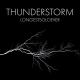  - Thunderstorm [Friday Night Funkin - Vs. Shaggy Mod] - Metal Guitar Cover