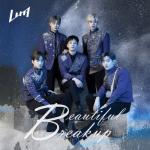 album image Beautiful Breakup Beautiful Breakup - Single