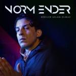 album image Kediler Aslan Olmaz Kediler Aslan Olmaz - Single