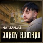 album image Na Janau Na Janau - Single