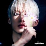 album image 열아홉 (NINETEEN) COSMOS