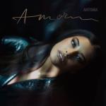 album image Amor Amor - Single