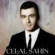 Celal Şahin - Sixteen Tones