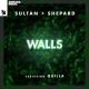Settipalli Productions - Look At Settipalli Now (Sultan + Ned Shepard ft. Quilla, Edward Maya ft. Vika Jigulina, Taylor Swift, DJ Chuckie, Whitney Houston, David Guetta ft. Akon, Black Eyed Peas, Salt N Pepa, Chris Brown ft. Lil' Wayne & Busta Rhymes, Kelly Clarkson, Soulja Boy)