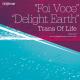 Trans Of Life - Foi Voce