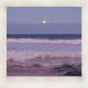 Neon Zebra, Johannes Jungleson - You're My Ocean