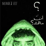 album image Enta Malak Enta Malak - Single