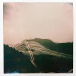 album image Whale Song Whale Song - Single