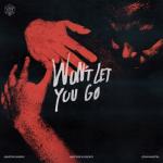 album image 291 Martin Garrix & Matisse & Sadko feat. John Martin (Won’t Let You Go) Won’t Let You Go - Single