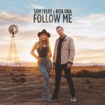 album image Follow Me Follow Me - Single