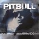 Pitbull feat. Papayo - Echa Pa'lla (Manos Pa'rriba)