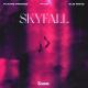 Future Friends - Skyfall (feat. PYLW & Elis Mraz)