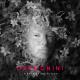 Cesare Cremonini - Interlude -