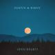 HAEVN, Birdy - Open Hearts