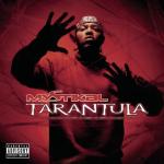 album image Tarantula Tarantula