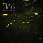 album image Bodybag Strays - EP