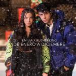 album image De Enero a Diciembre De Enero a Diciembre - Single