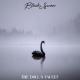 BTS - Black Swan Orchestral Instrumental