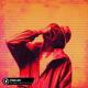 Coopex, Donovan's Playground, Lujavo feat. Britt Lari - Stereo Love