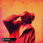 album image Stereo Love Stereo Love (feat. Britt Lari) - Single