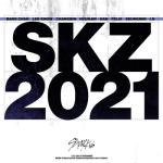 album image Hoodie Season SKZ2021
