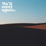 album image We'll Meet Again We'll Meet Again - Single