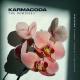 KARMACODA - Feels (Extrawelt Remix)