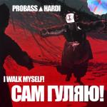 album image CАМ ГУЛЯЮ! CАМ ГУЛЯЮ! - Single