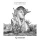 Haffenfold - Dunes Of Milia