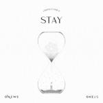 album image STAY STAY - Single
