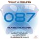 Giorgio Moroder - What a Feeling