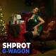Shprot ft. Narek Mets Hayq - Yashik