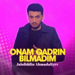 album image Onam qadrin bilmadim Onam qadrin bilmadim - Single