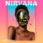 album image Nirvana (feat. Victor Perry) Nirvana (feat. Victor Perry) - Single