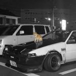 album image kitty phonk kitty phonk - Single