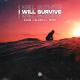 DJSM, Blaze U, DNTK - I Will Survive
