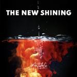 album image Thief Antidote