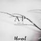 Nazar Meredow - Moment