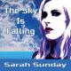 Sarah Sunday - The Sky Is Falling (Evgeny Vlasov Alt. Hyperpop Mix)