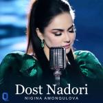 album image Dost Nadori Dost Nadori - Single