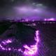 NIGHTMORSS, Lastfragment - Purple Haze