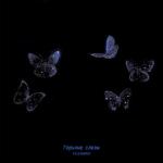 album image Горькие слезы Горькие слезы - Single