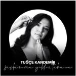 album image Saçlarıma Yıldız Takana Saçlarıma Yıldız Takana - Single