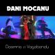 Dani Mocanu - Doamna si Vagabondu