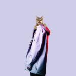album image Crazy Crazy - Single