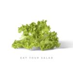album image Eat Your Salad Eat Your Salad - Single