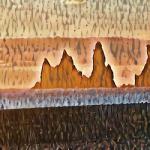 album image Shake
